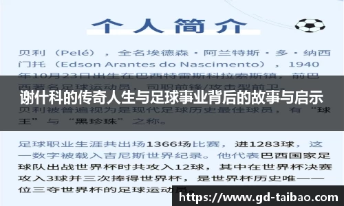 谢什科的传奇人生与足球事业背后的故事与启示